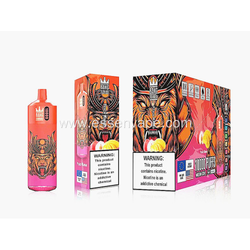 Good Sale Bang 10000 Puffs Sweden Good Vape
